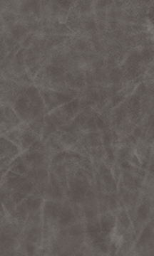 Fossil Leather