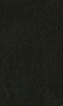 Java Leather