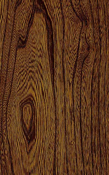 GREY ELM