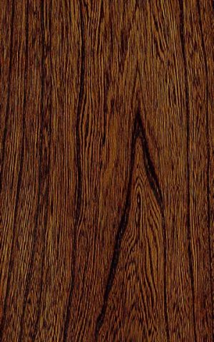 GREY ELM
